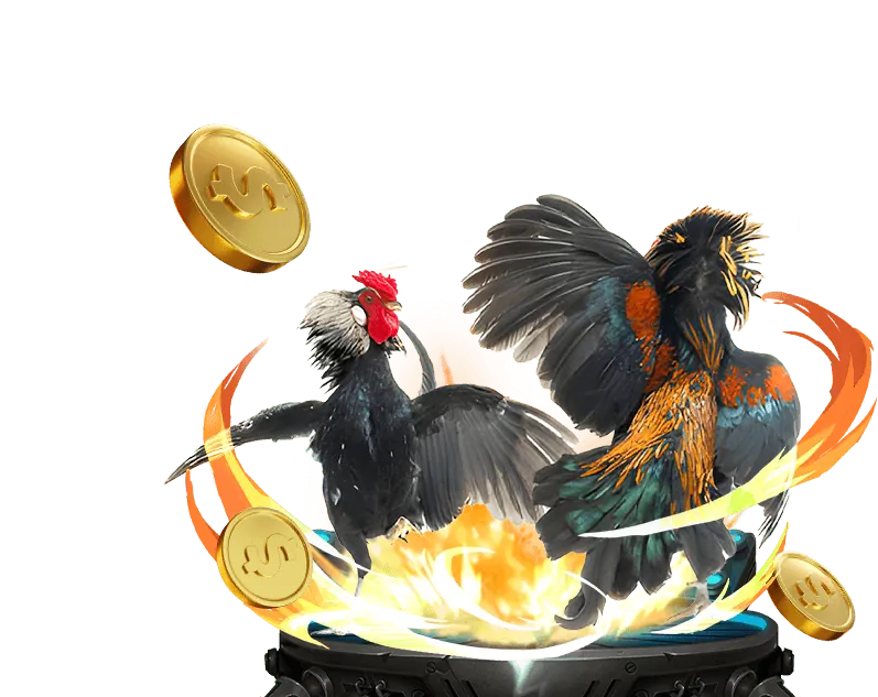 Giấy phép hoạt động bl555 casino